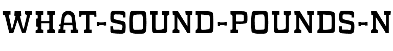 WHAT SOUND POUNDS? Regular.ttf