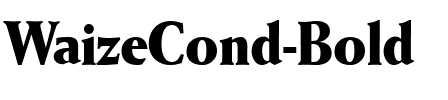 WaizeCond Bold.ttf