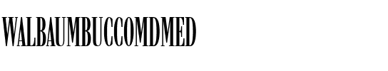 WalbaumBucComDMed Regular.ttf