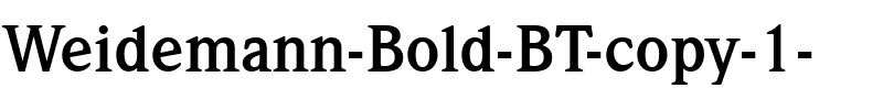Weidemann Bk BT Bold.ttf