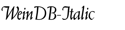WeinDB Italic.ttf