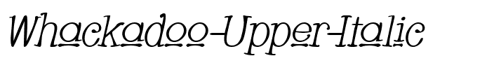 Whackadoo Upper Italic.ttf