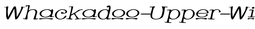 Whackadoo Upper Wide Italic.ttf