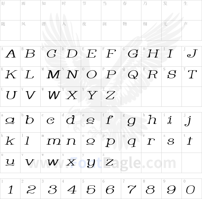 Whackadoo-Upper-Wide-Italic