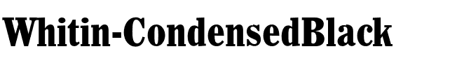 Whitin Bold.otf