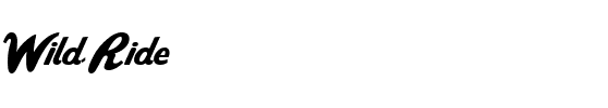 Wild Ride Regular.ttf