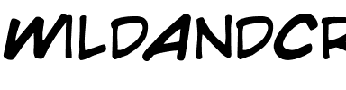 WildAndCrazy Medium Italic.ttf