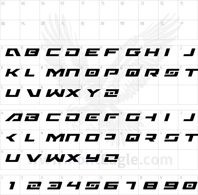 Wildcard-Expanded-Italic