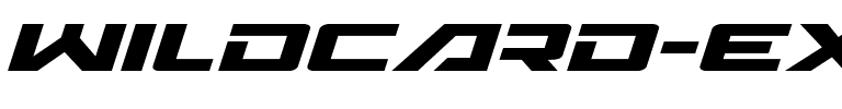 Wildcard Expanded Italic Expanded Italic.ttf