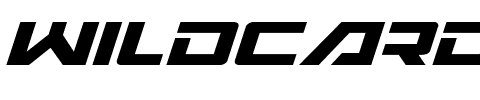 Wildcard Italic Italic.ttf