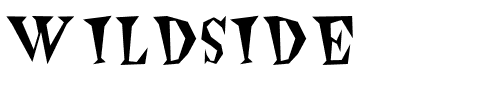 Wildside Plain.ttf