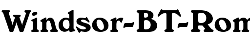 Windsor BT Roman.ttf