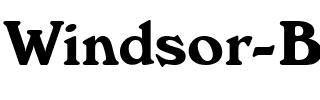 Windsor BT Roman.ttf