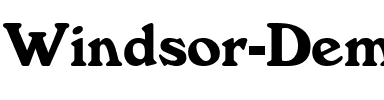Windsor Demi.ttf