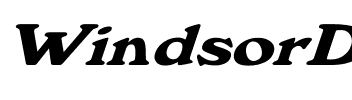 WindsorDemi.fog Wd Italic Regular.ttf