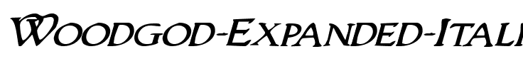 Woodgod Expanded Italic Expanded Italic.ttf