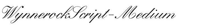 WynnerockScript-Medium Regular.ttf