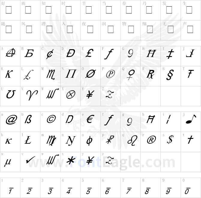 X-Cryption-Italic