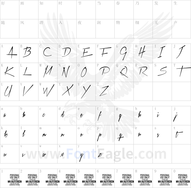 Xtreem-Medium-PERSONAL-USE