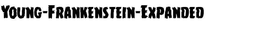 Young Frankenstein Expanded Expanded.ttf