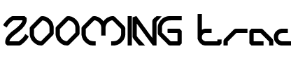 ZOOMING track Normal.ttf