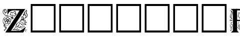 Zallman Regular.ttf