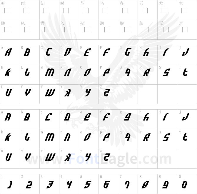 Zone-Rider-Exp-Italic