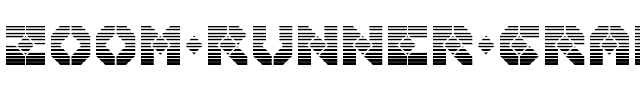 Zoom Runner Gradient Regular.ttf