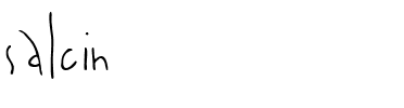salcin Regular.ttf
