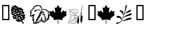 wmleaves1 Regular.ttf