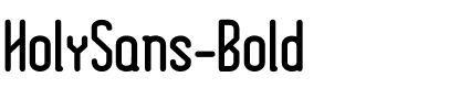 HolySans-Bold Bold.ttf
