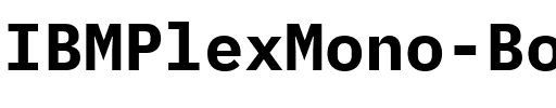 IBM Plex Mono Bold.ttf