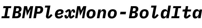 IBM Plex Mono Bold Italic.ttf