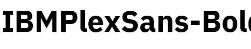 IBM Plex Sans Bold.ttf