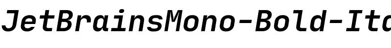 JetBrains Mono Bold Italic.ttf