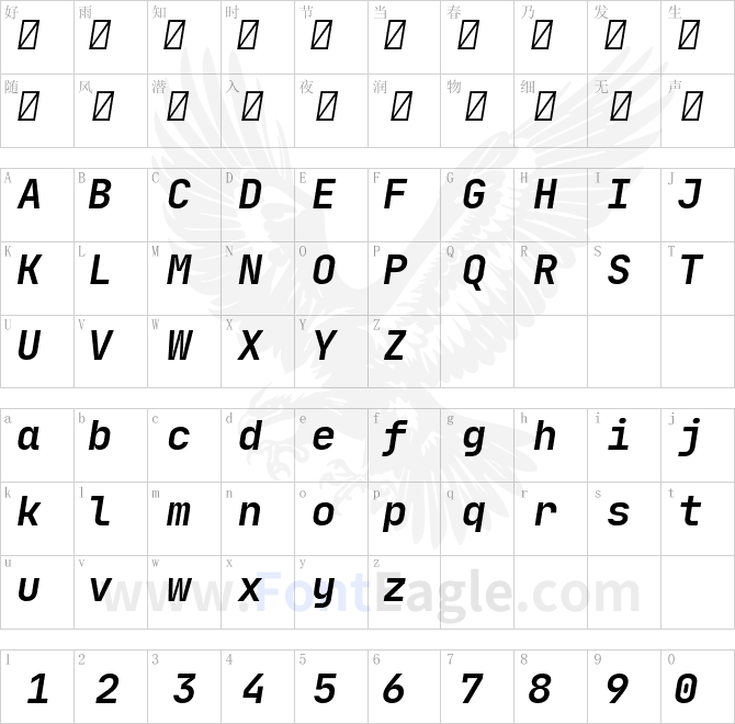 JetBrainsMono-Bold-Italic