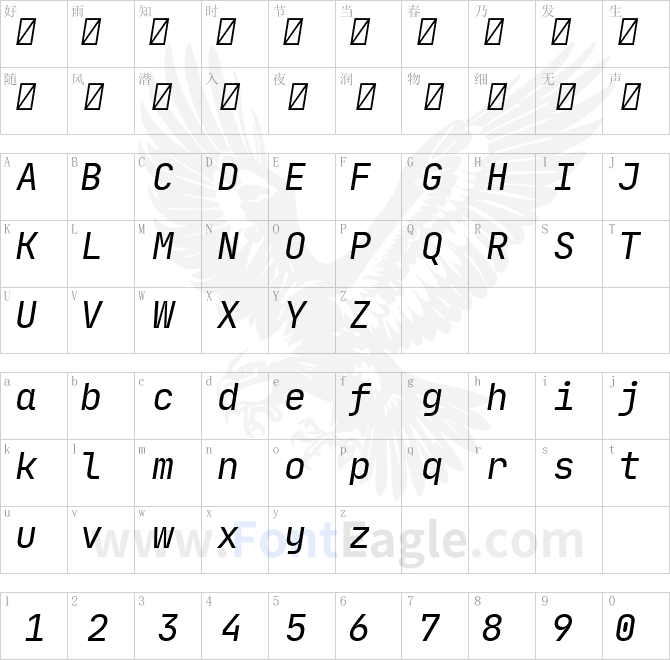 JetBrainsMono-Italic