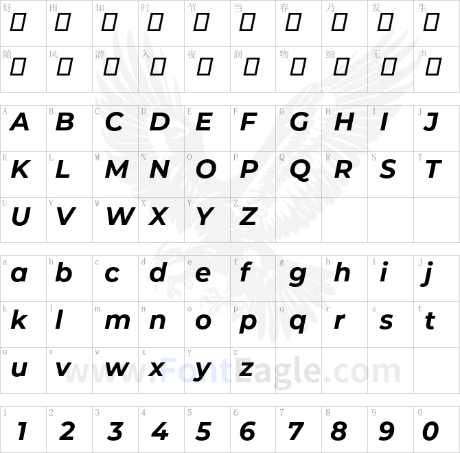 Montserrat Bold Italic