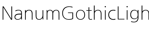 나눔고딕 Light Regular.ttf