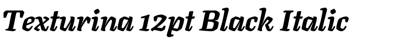 Texturina 12pt Black Italic.ttf