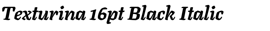 Texturina 16pt Black Italic.ttf