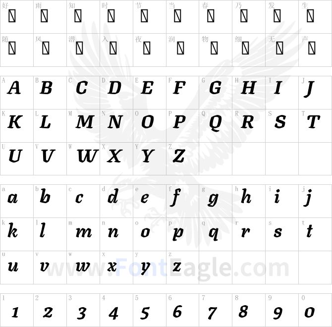 Texturina 16pt Black Italic