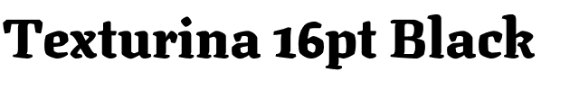 Texturina 16pt Black Regular.ttf