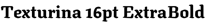 Texturina 16pt ExtraBold Regular.ttf