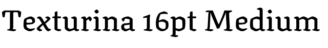 Texturina 16pt Medium Regular.ttf