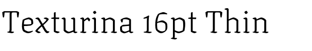 Texturina 16pt Thin Regular.ttf