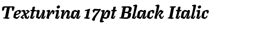 Texturina 17pt Black Italic.ttf