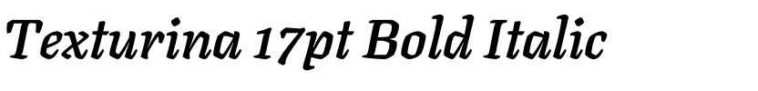 Texturina 17pt Bold Italic.ttf
