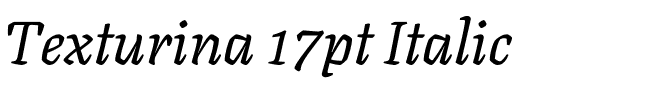 Texturina 17pt Italic.ttf