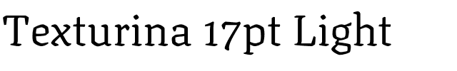 Texturina 17pt Light Regular.ttf